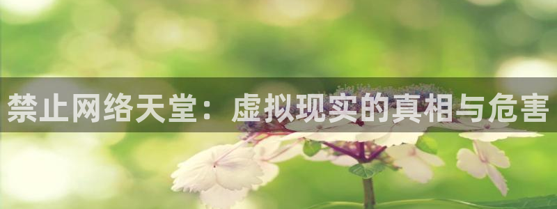 age漫画网：禁止网络天堂：虚拟现实的真相与危害
