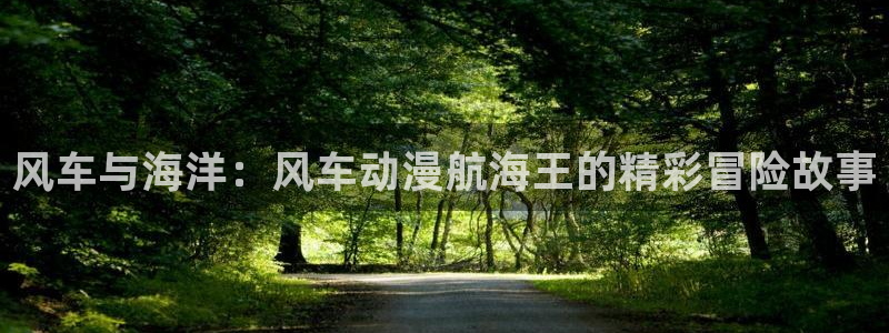 酷漫屋下载入口：风车与海洋：风车动漫航海王的精彩冒险故事