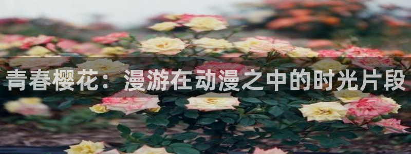 酷漫屋官网在线入口：青春樱花：漫游在动漫之中的时光片段
