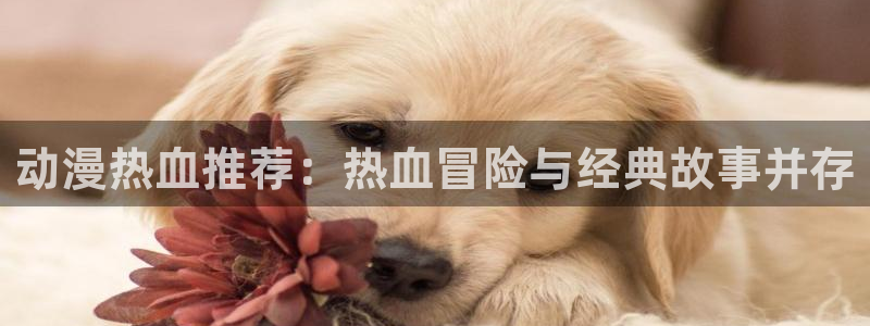 酷漫屋网上看：动漫热血推荐：热血冒险与经典故事并存