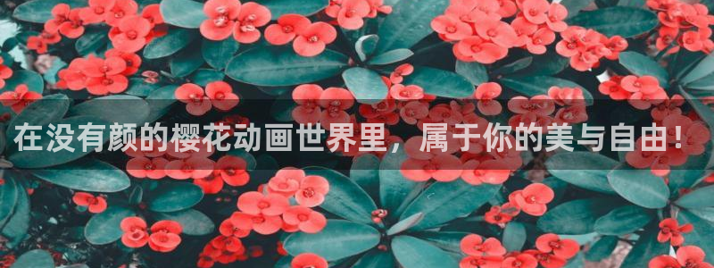 age漫画网：在没有颜的樱花动画世界里，属于你的美与自由！