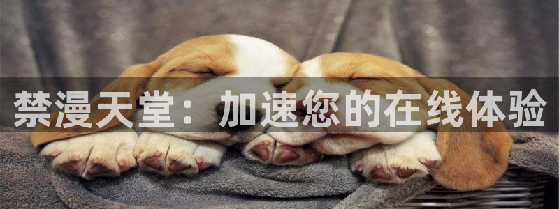 酷漫屋下载入口：禁漫天堂：加速您的在线体验