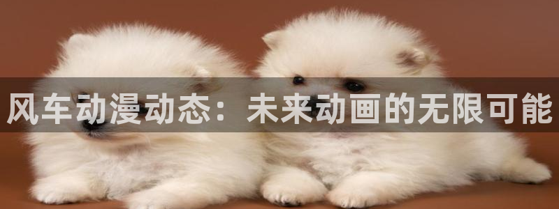 colomanage漫画官网：风车动漫动态：未来动画的无限可能