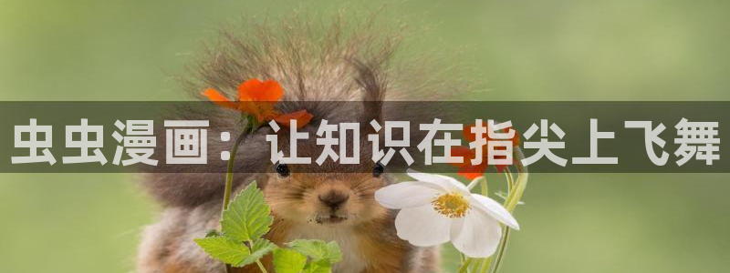 kakaopage韩漫官网：虫虫漫画：让知识在指尖上飞舞
