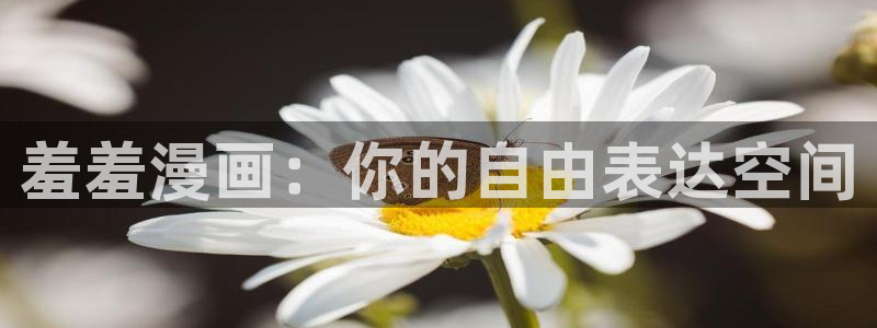 kakaopage韩漫官网：羞羞漫画：你的自由表达空间