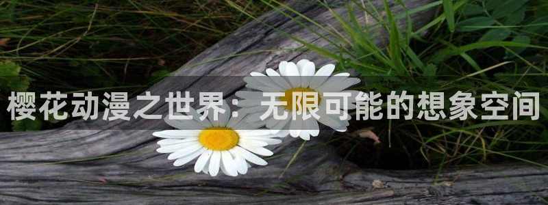 酷漫屋网：樱花动漫之世界：无限可能的想象空间